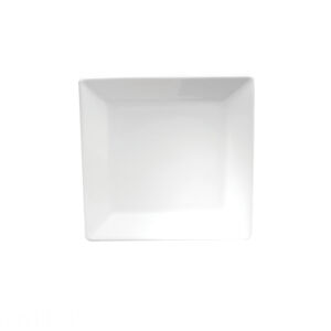 FUSION SQUARE PLATE WITH SQUARE RIM, 9.875″